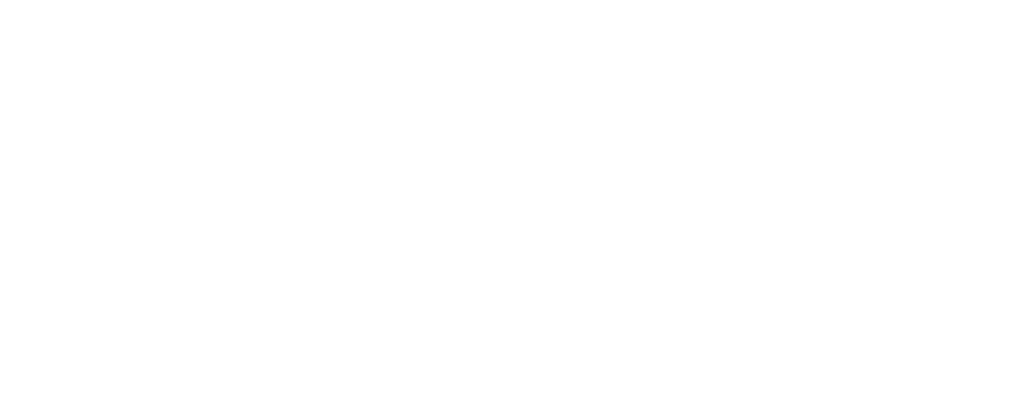 EVV Logo